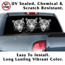 3 White Bengal Tigers Back Window Graphic