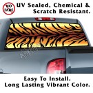 Tiger Stripe Back Window Graphic